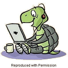 Shelly, the SiteSell tortoise