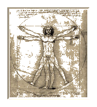 The 'Vitruvian Man' by Leonardo da Vinci